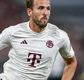 利益所掩盖 利益所掩盖