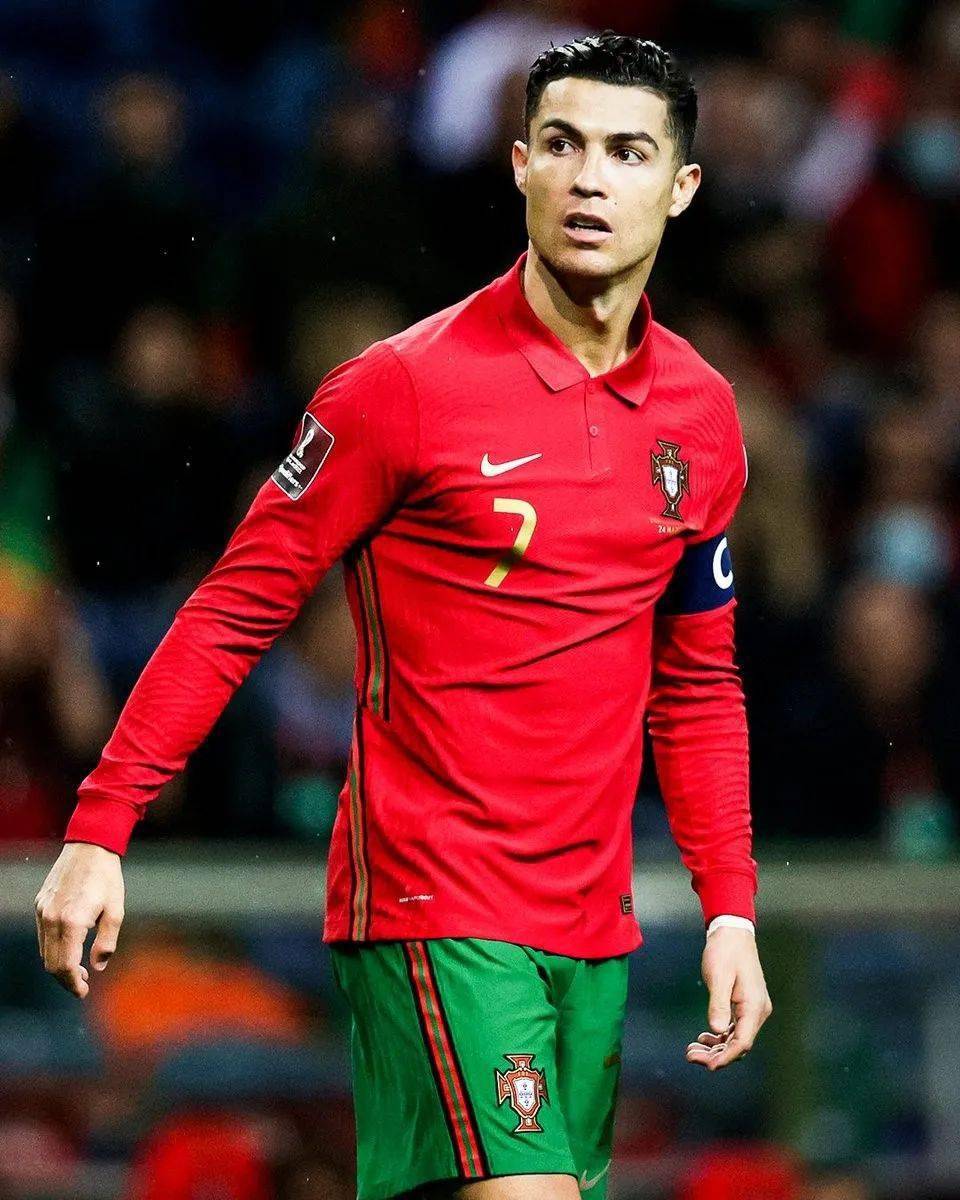 仅展示了公 仅展示了公