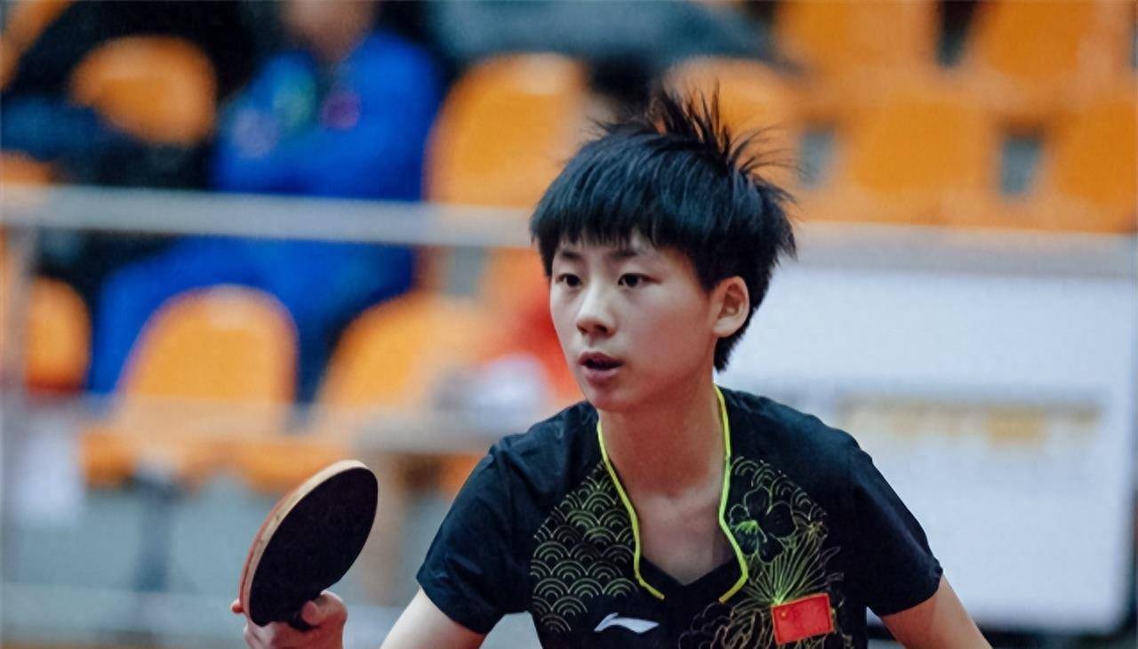 毛球的热爱 毛球的热爱